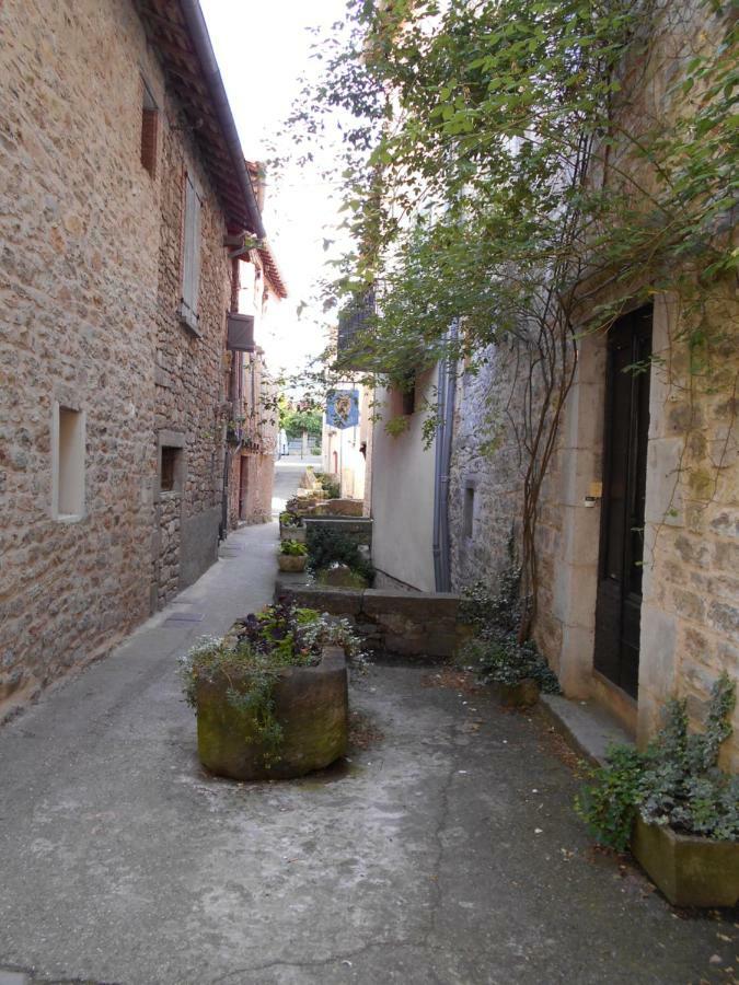 7 Rue Droite Villa Saint-Antonin Ngoại thất bức ảnh